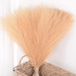 orange_yellow