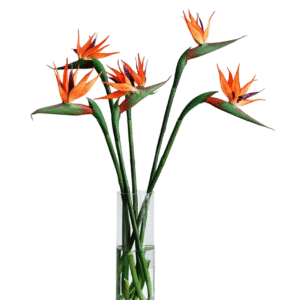 Fleur artificielle oiseau du paradis