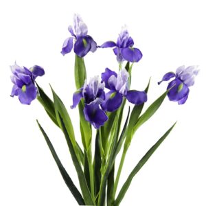 Fleur iris artificiel