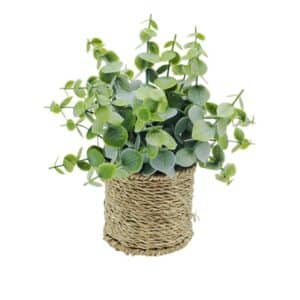 Eucalyptus artificiel​