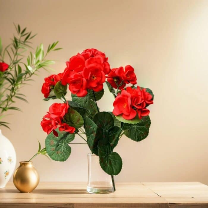 S0cc0e4542052410b879de90fd598cbe