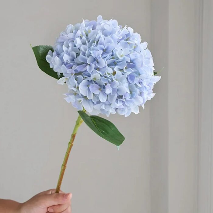 S100024d81ff44b34bcd748f8227aebb