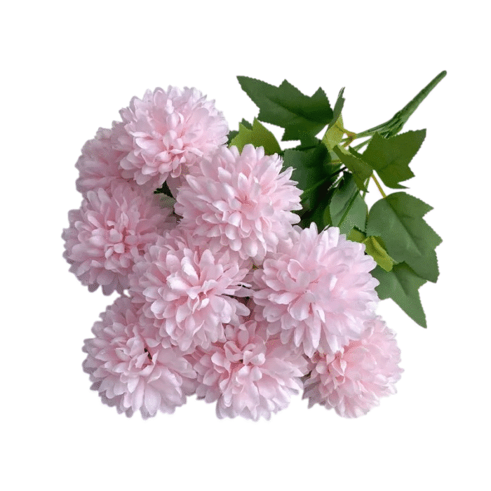 S15596241b3694daf9612cc59beba926 (1)-Photoroom