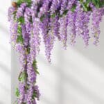 S1728d8c91ba148c39390128baaf6a3b