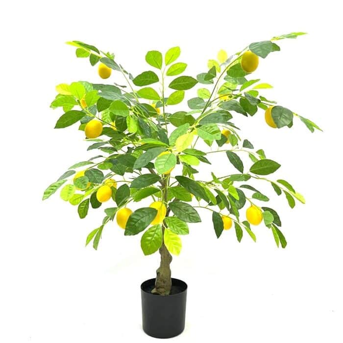 S188a9013af37468dba194f61aadfa6a