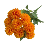 S58b8779ad488486e8338ccc7a2a54b9-Photoroom