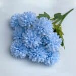 S5acf915732a04e39902edcefa113911