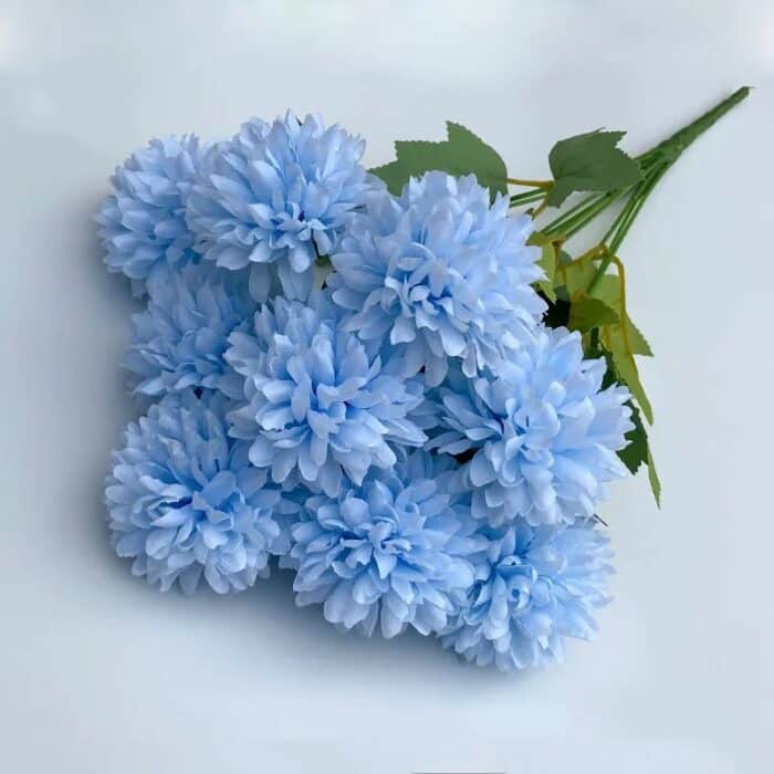 S5acf915732a04e39902edcefa113911