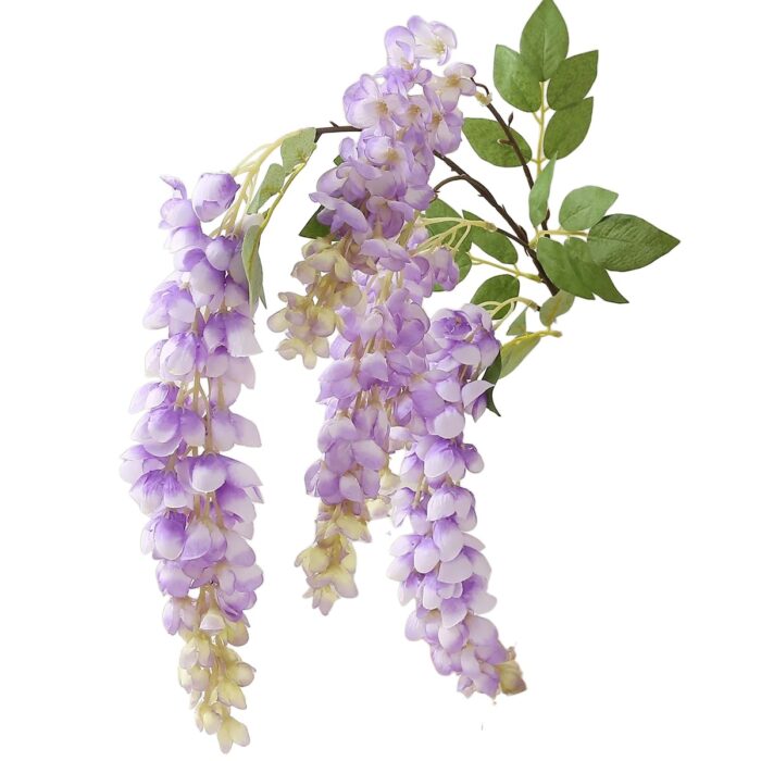 S69d9d5974d5e4704b518d33828212ef (1)