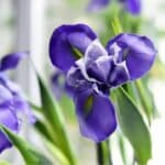 S815187271b40422495f3a31227e72de (1) (1)