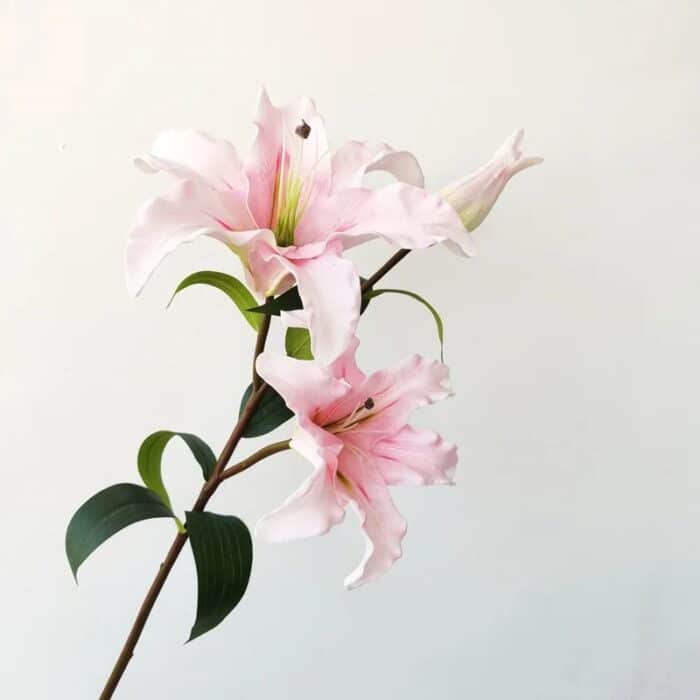 S92f76c1f697043f6b30aa26fcb84f08