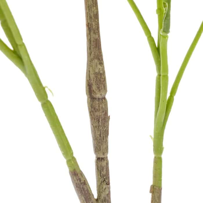 S9598325cf4d643bf9d97c1356a19a76