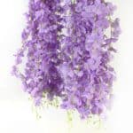 S9a7651c672cb41ce87af25387cf8d9c