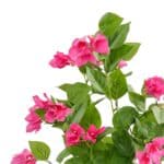 S9b79fdf170874fca910bb4f0f6157d8