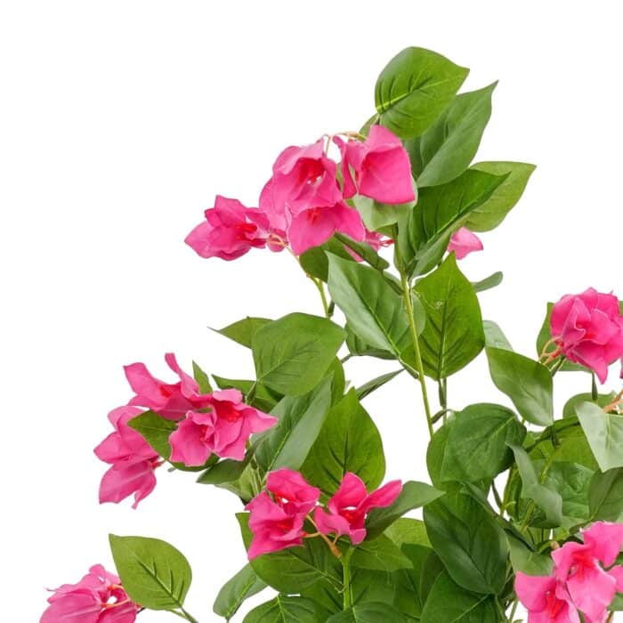 S9b79fdf170874fca910bb4f0f6157d8