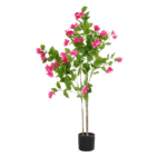 S9c4a1507bafb4c5f963a0f2759f9cbc-Photoroom