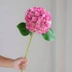 Sadc38402399741008961cd61fd72163