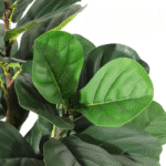 Sbf4dbb0205a84ec8bcb3d5ebf8d998c_cleanup