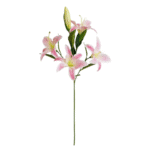 Sc62ed15e536d47c49cf942b7da593ab-Photoroom_cleanup