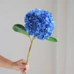 Sc9fe28339860494394beb1b7248e1a2