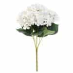 Sd4cc4fa5b06b443a9c2c8f9cec09793