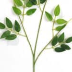 Sdaed8b065b8b4007b11aa1f85668343