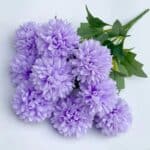 Sdefcc47ccc4c4e5898f6bb8e4fea449