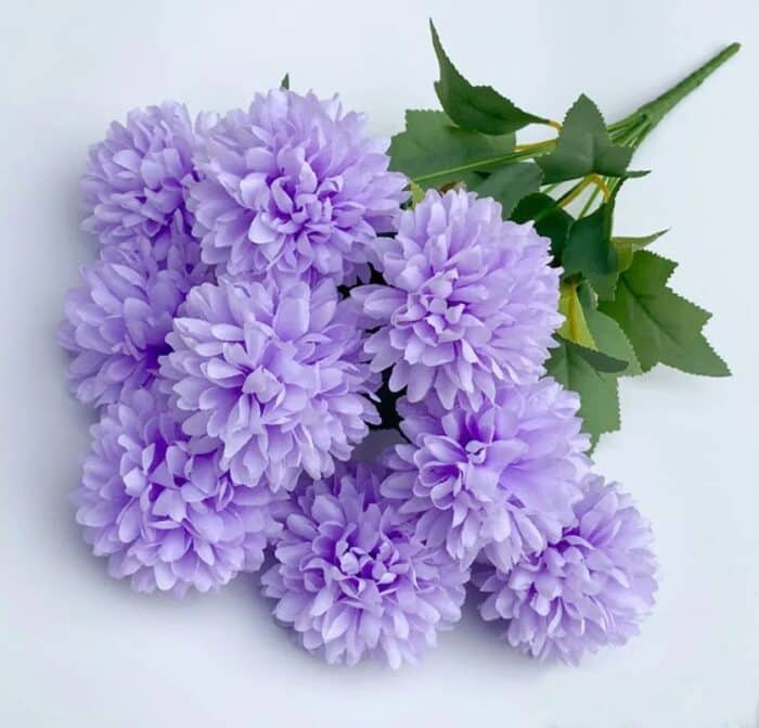 Sdefcc47ccc4c4e5898f6bb8e4fea449