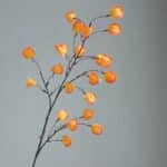 Sdfa086baeb094bf08f298a2fc493950