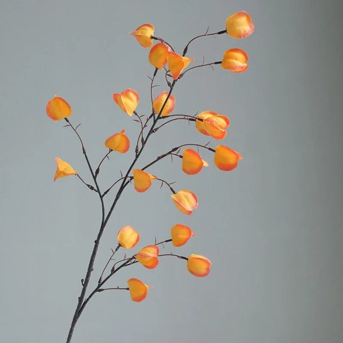 Sdfa086baeb094bf08f298a2fc493950