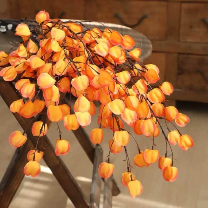 Se65e048745414ff493bb975a5e594d9