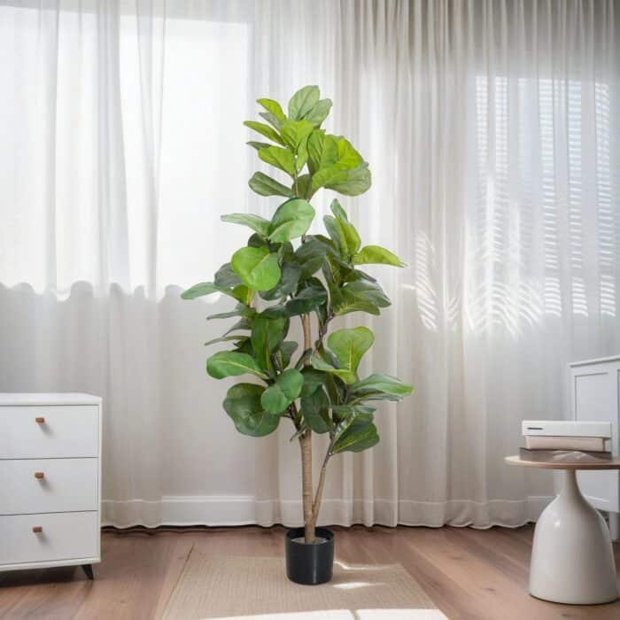 See654672ffe34a0aa9815380061d4e8