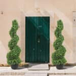 Sfc05d2fb7c3648009bfcce6d0f9aaf0_cleanup (1)